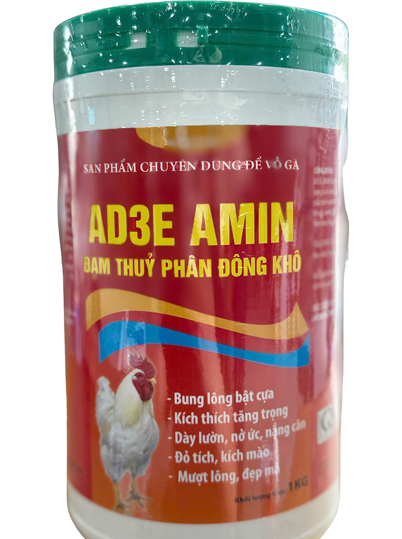 Trang chủ 116 AD3E AMIN