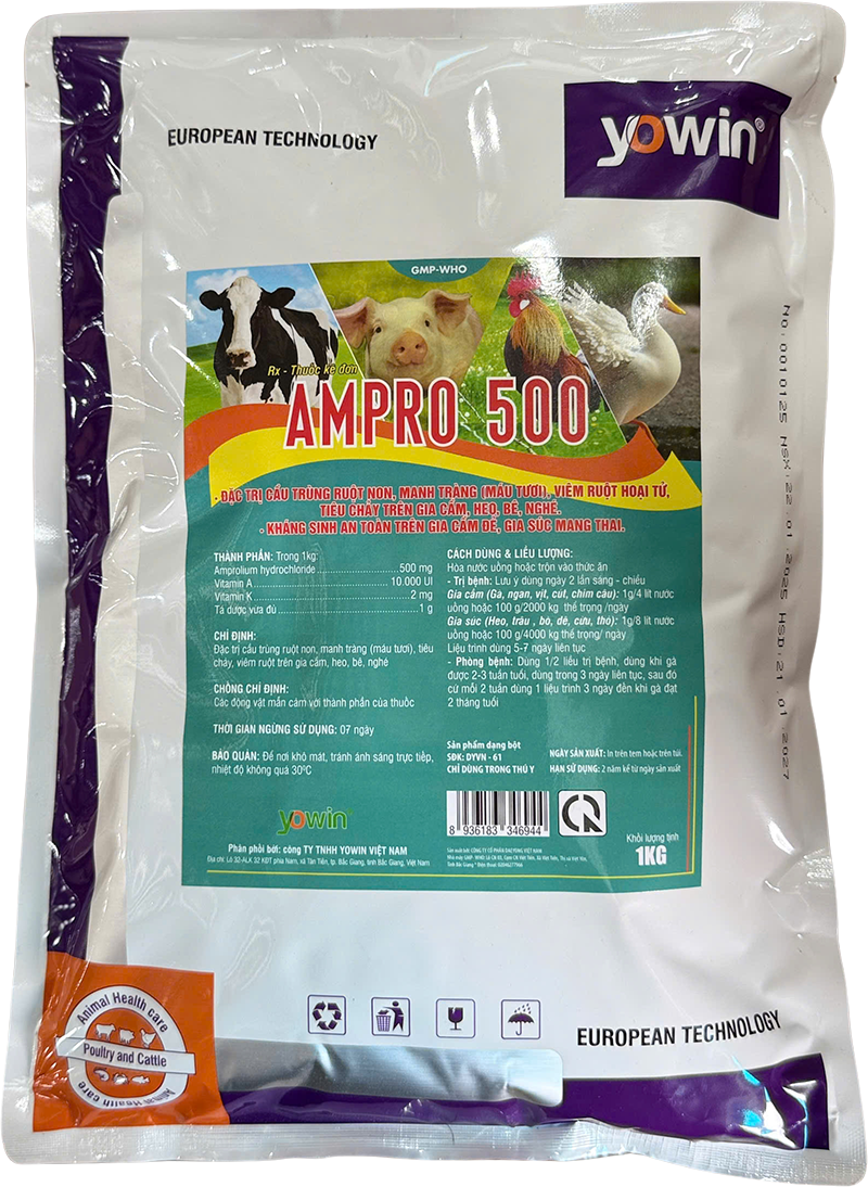AMPRO 500