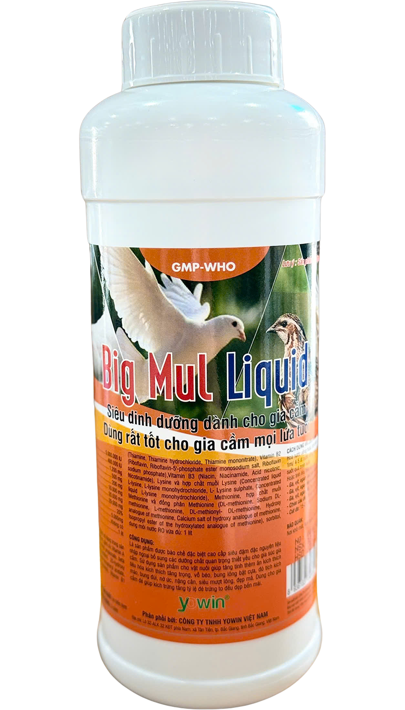 Trang chủ 101 Big Mul Liquid