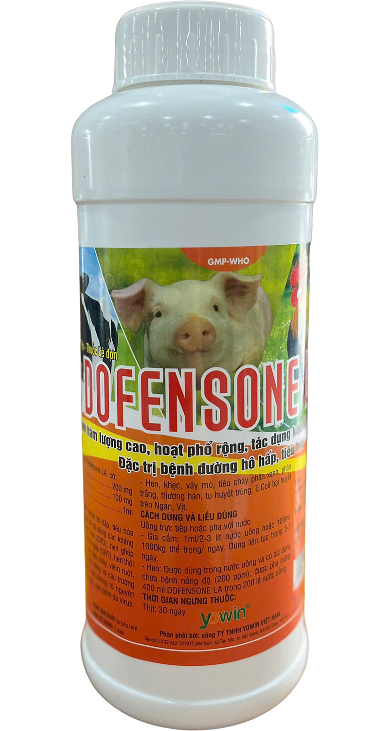 Trang chủ 132 DOFENSONE
