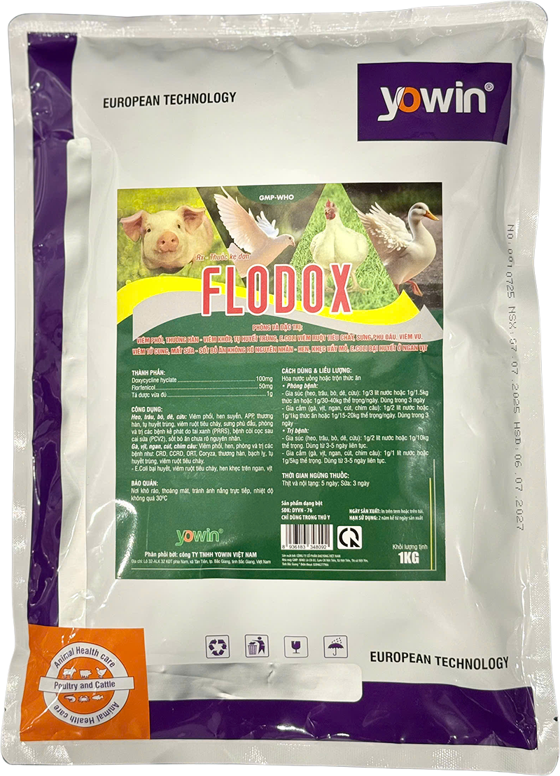 Trang chủ 69 FLODOX