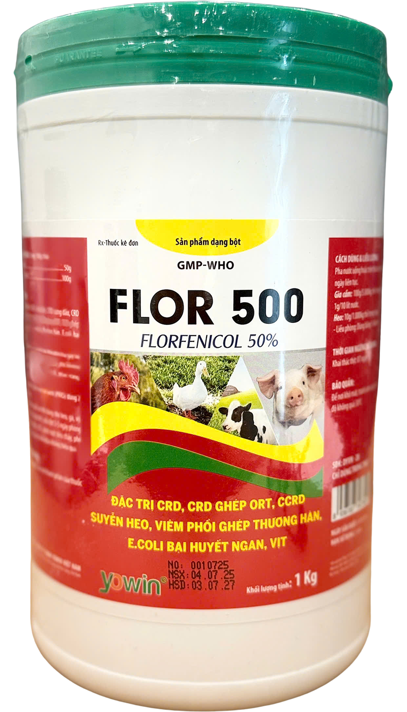 Trang chủ 53 FLOR 500