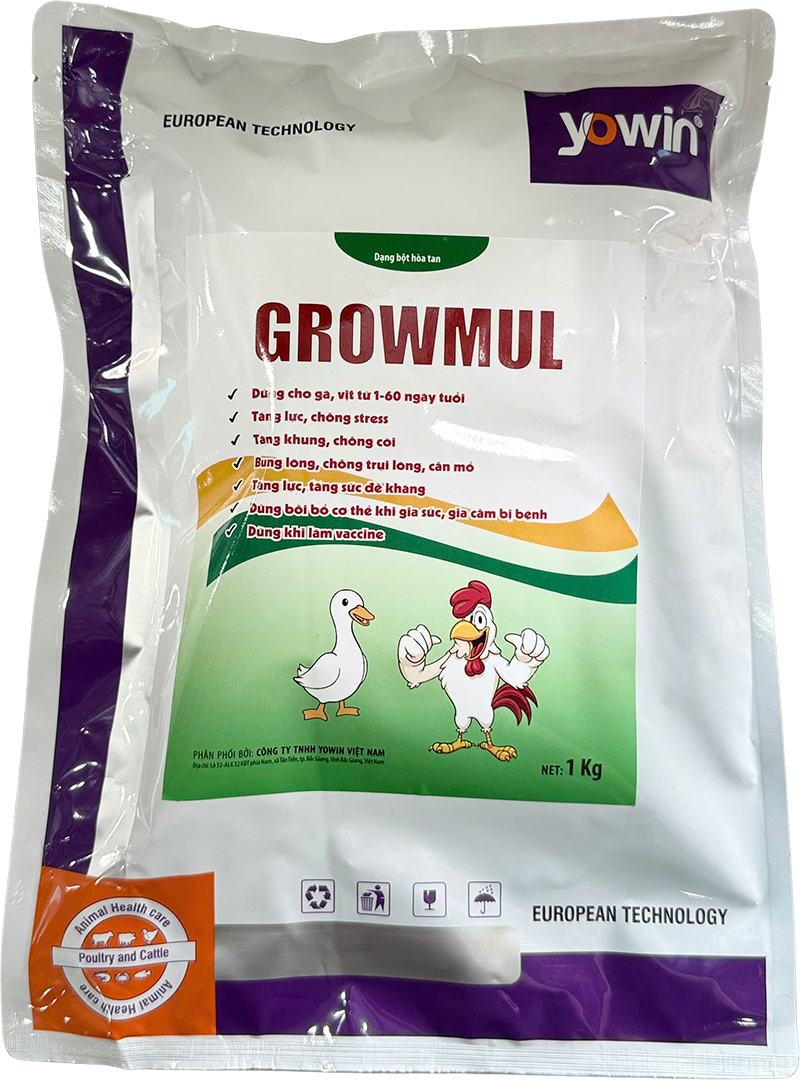 Trang chủ 85 GROWMUL