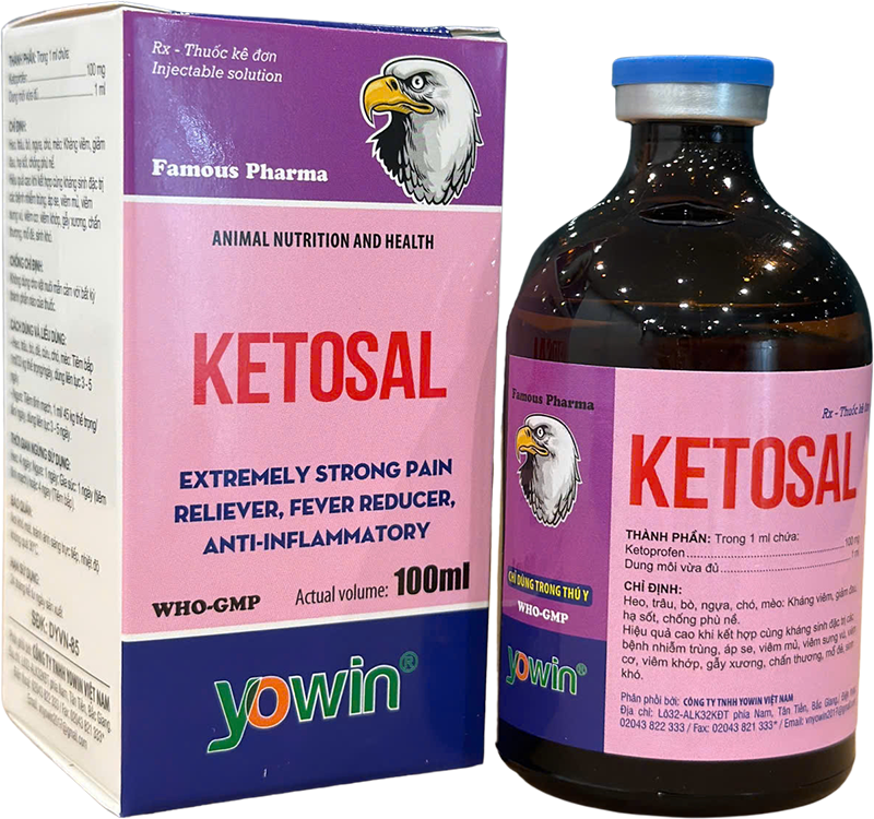 Trang chủ 228 KETOSAL - 100ml