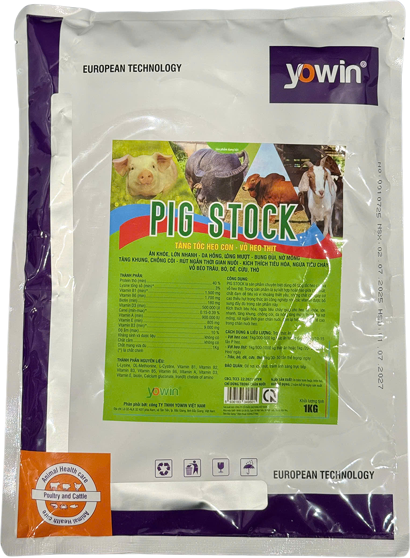Trang chủ 29 PIG STOCK