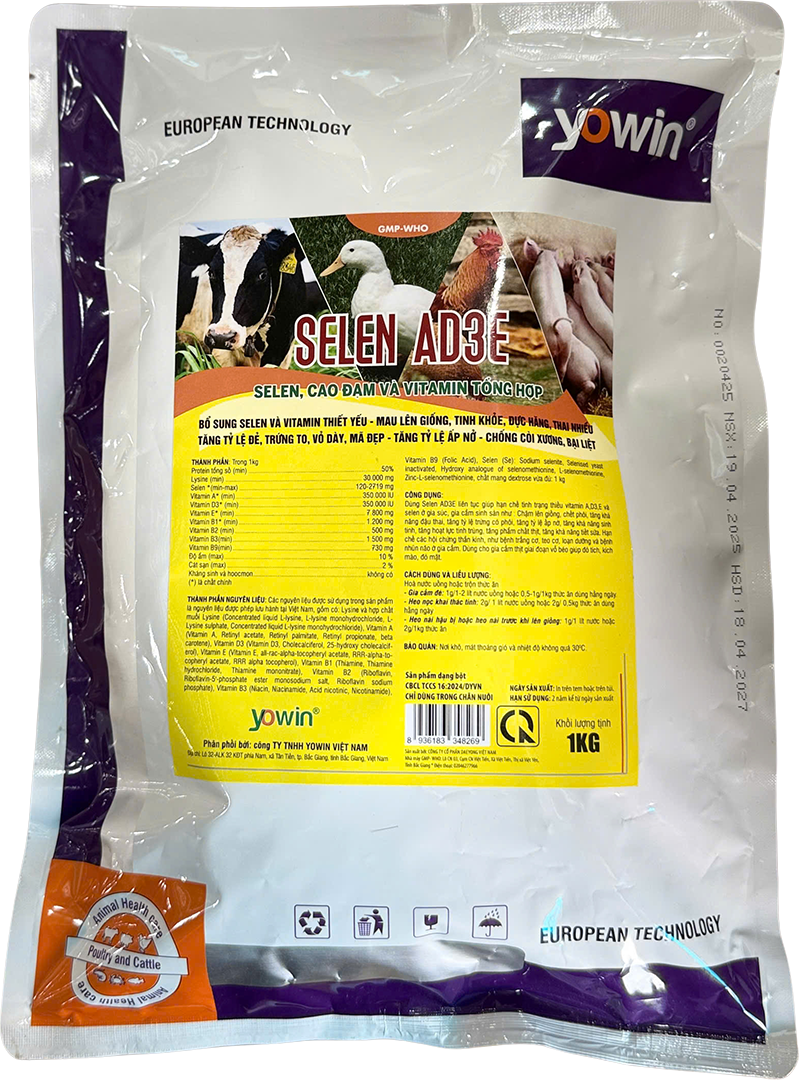 Trang chủ 292 SELEN AD3E