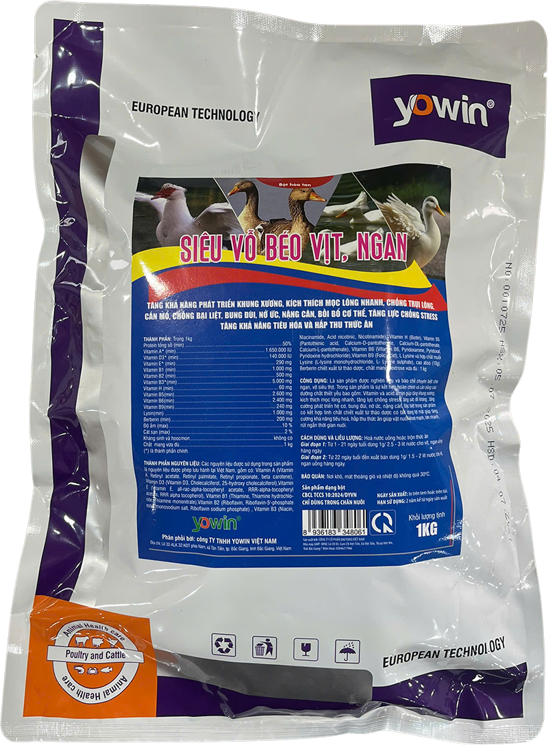 Trang chủ 148 SIÊU VỖ BÉO VỊT, NGAN