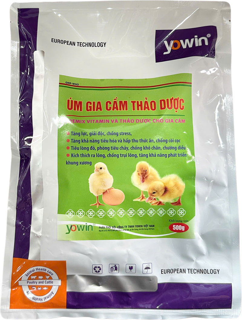 Trang chủ 276 ÚM GIA CẦM THẢO DƯỢC