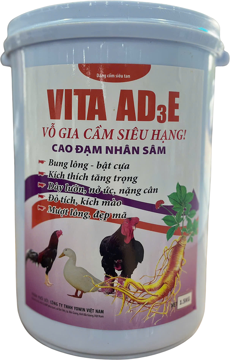 Trang chủ 77 VITA AD₃E