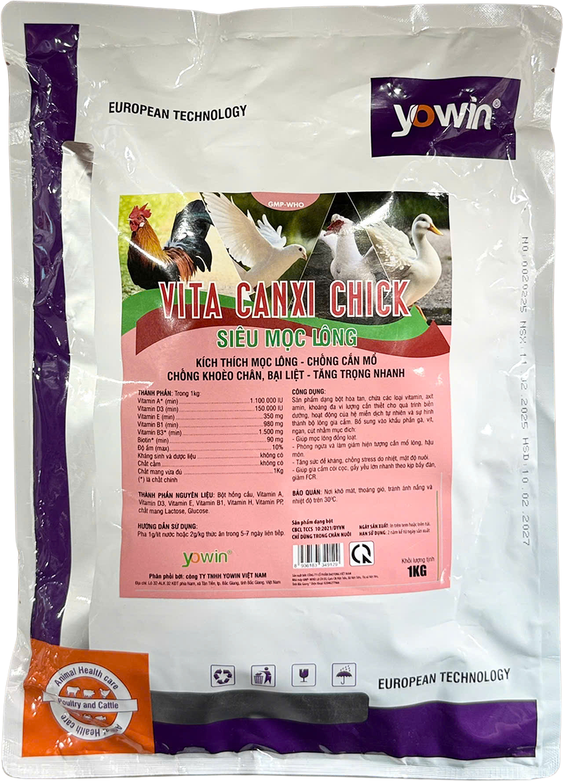 Trang chủ 260 VITA CANXI CHICK - SIÊU MỌC LÔNG