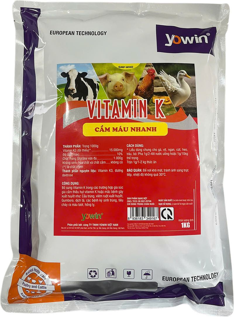 Trang chủ 252 VITAMIN K cầm máu nhanh