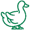 Sản phẩm cho ngan vịt Icon