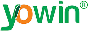 Yowin Vietnam