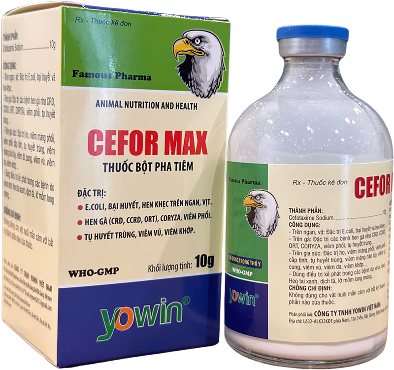 Trang chủ 212 CEFOR MAX