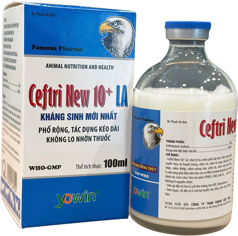 Trang chủ 204 Ceftri New 10+ LA