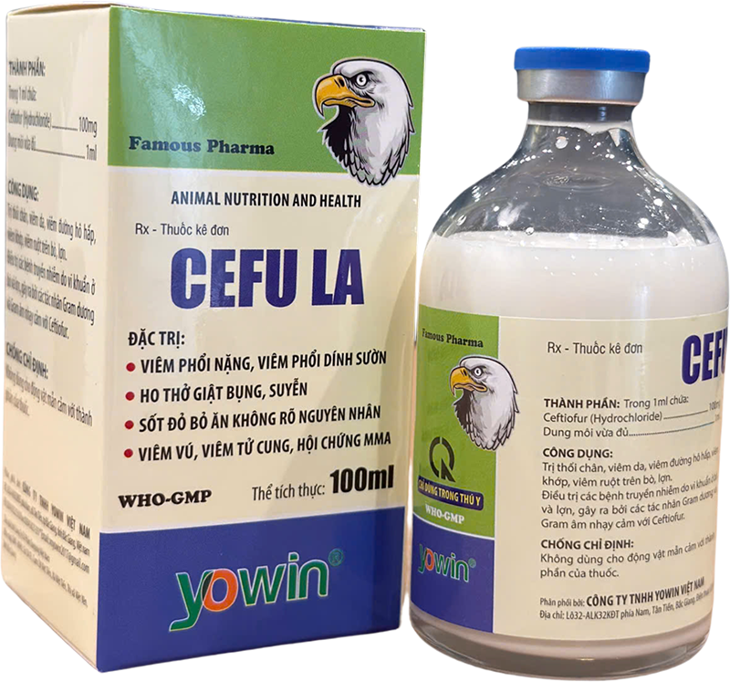 Trang chủ 196 CEFU LA